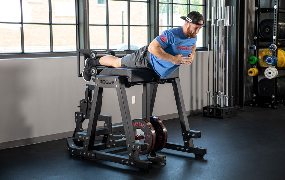 Rogue Donkey Rogue Fitness Australia